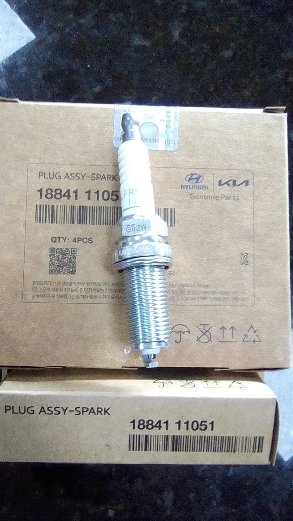 PLUG ASSY-SPARK