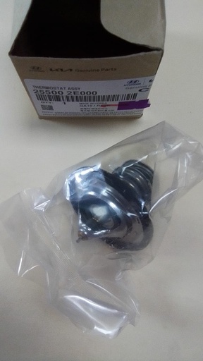 [255002E000] THERMOSTAT ASSY